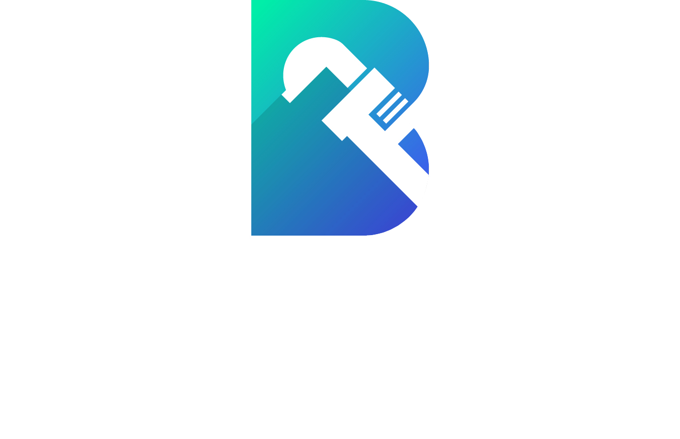 Bravo Plumbing Group official logo